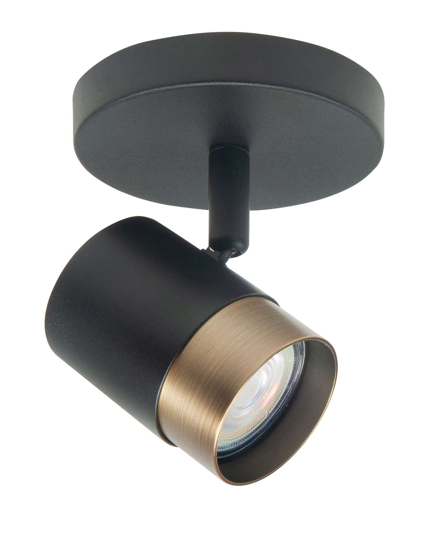 Spot Savona 1 lichts zwart/brons