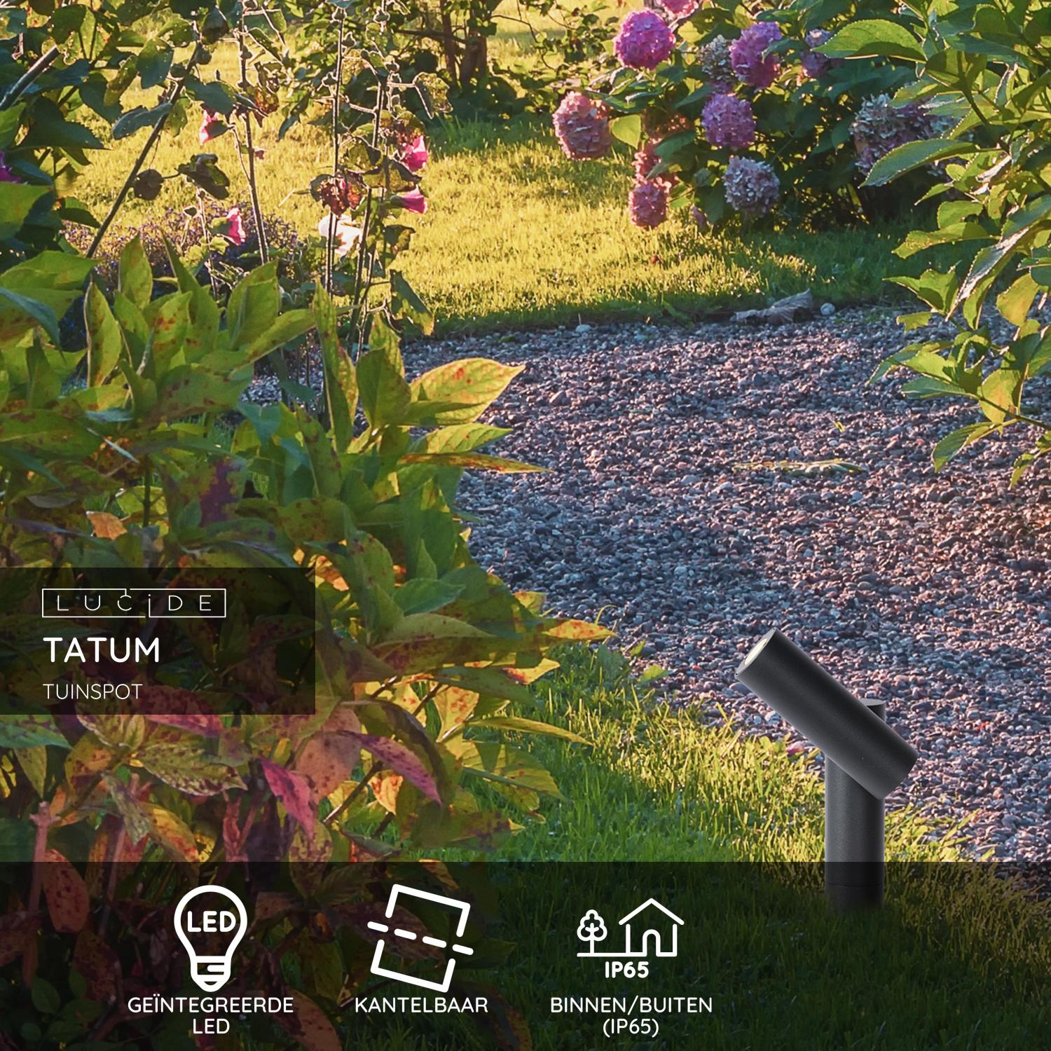 Lucide TATUM - Tuinspot - LED - 1x4,5W 3000K - IP65 - Antraciet - Afbeelding 3