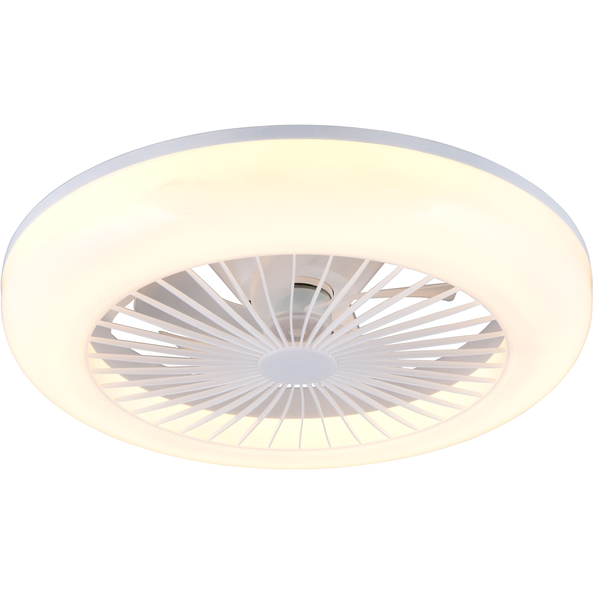 Plafondventilator Trio Mora