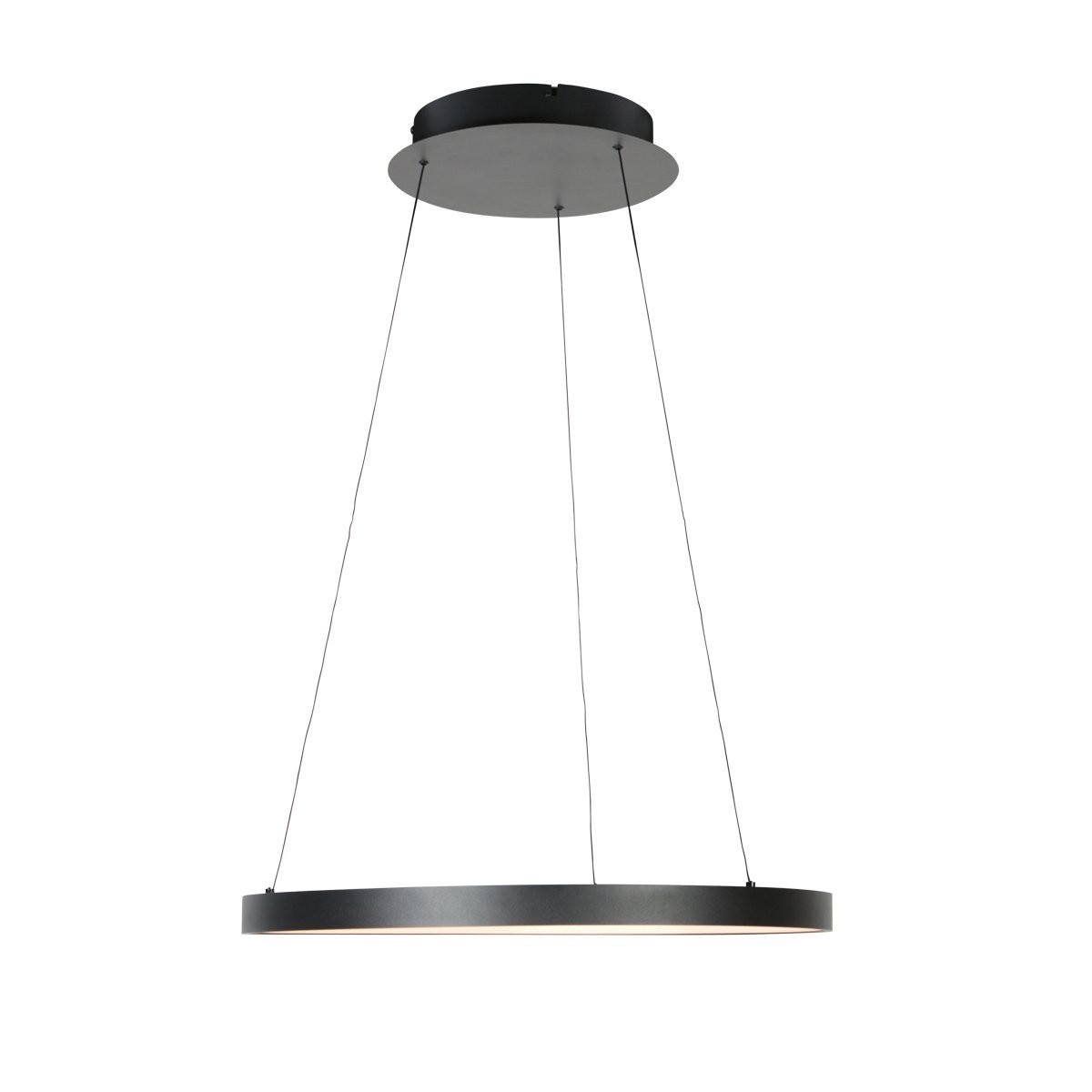 Zwarte hanglamp Ringlede 4612ZW met cable-lift systeem - Afbeelding 10