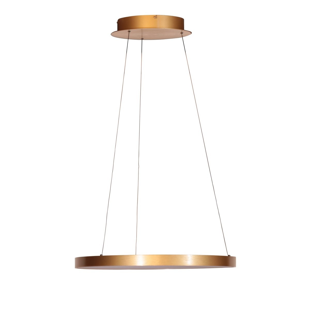 Gouden hanglamp Ringlede 4612GO, met cable-lift - Afbeelding 2