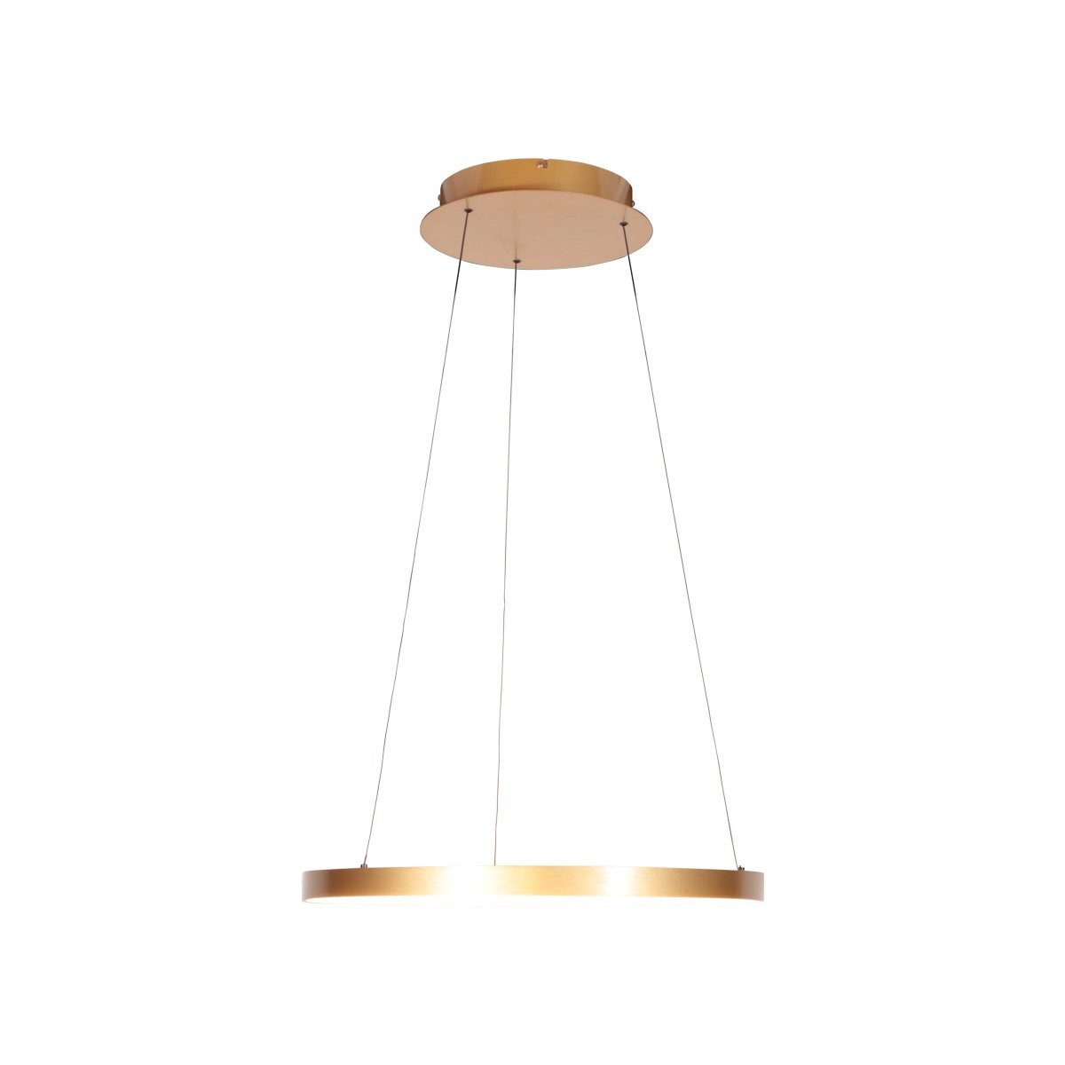 Gouden hanglamp Ringlede 4612GO, met cable-lift - Afbeelding 9